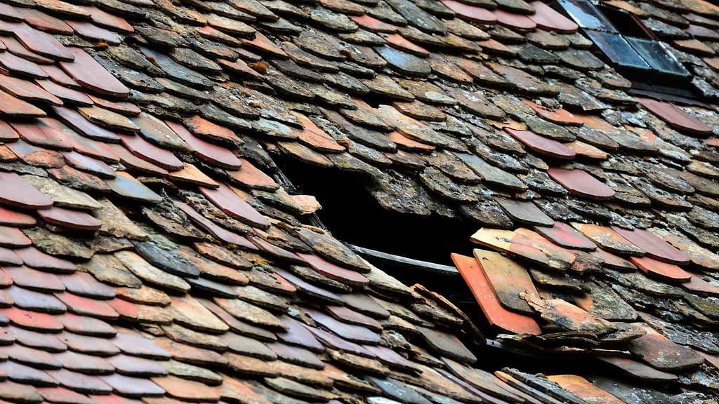 missing shingles for roof repair morristown nj