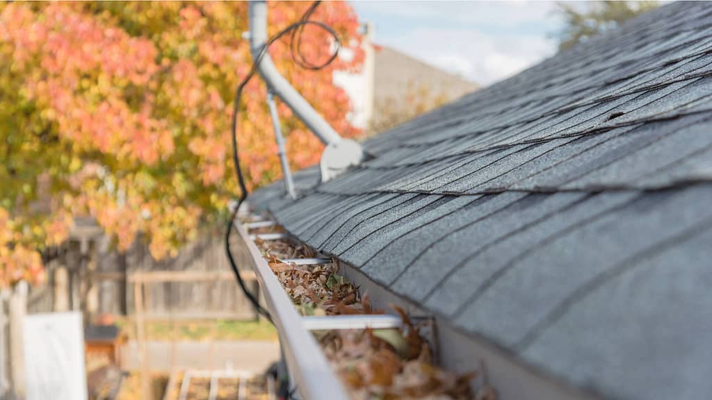 Gutter clogged with dried leaves