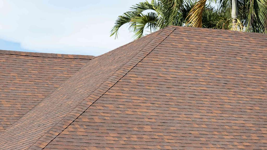Image of a brown asphalt shingled roof with a palm tree in the background, installed by Roofing Contractor in Madison, NJ.