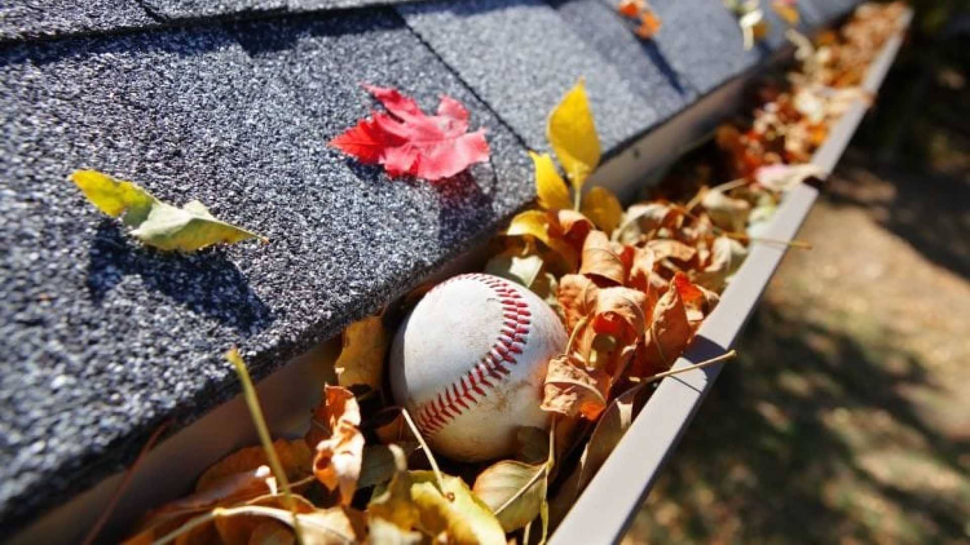 Baseball and leaves in gutter