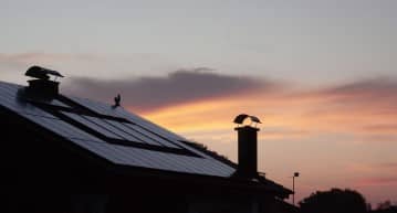 solar roofing morristown nj