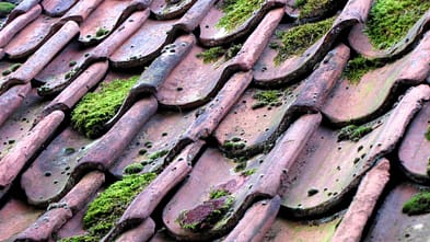 stained, moss and old roof for New Vernon roofing professionals repair