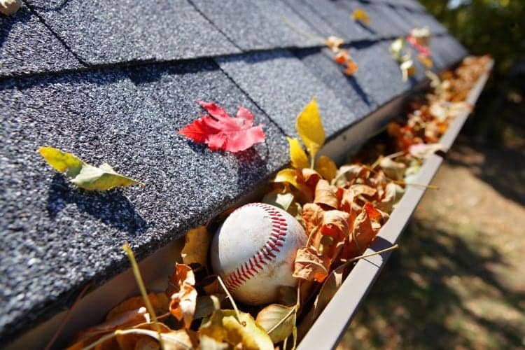 How Clogged Gutters Can Affect Roof Lifespan and Much More